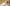 Willow - Jasmine Thompson choreografia na pierwszy taniec online